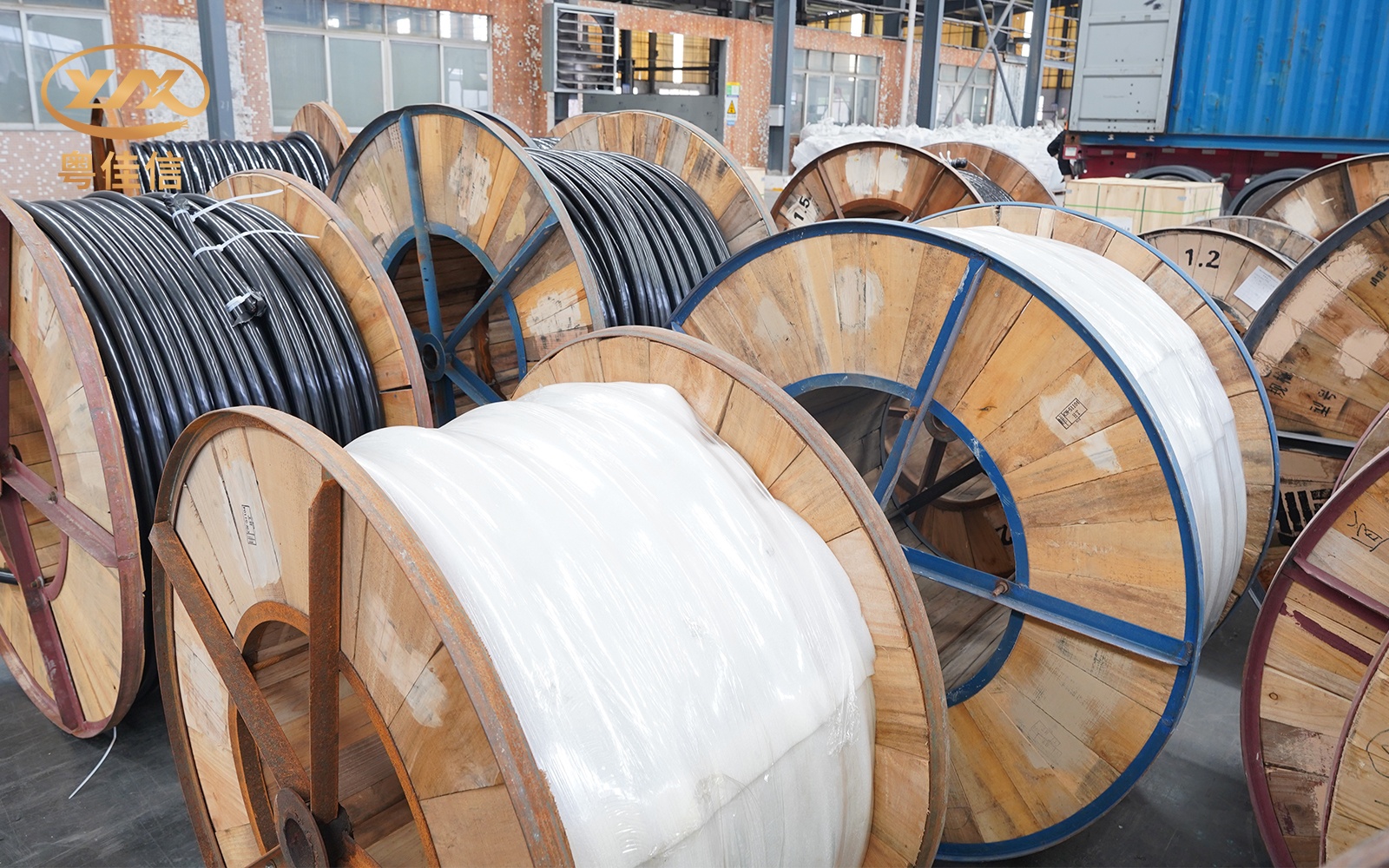 微信圖片_2025-07-22_145904_339